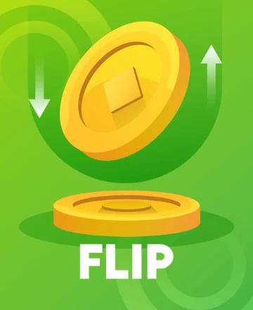 Flip